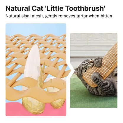 🔥Last Day 48% OFF-🐱Interactive Catnip Chew Toy with 30,000mg A+ Organic Catnip