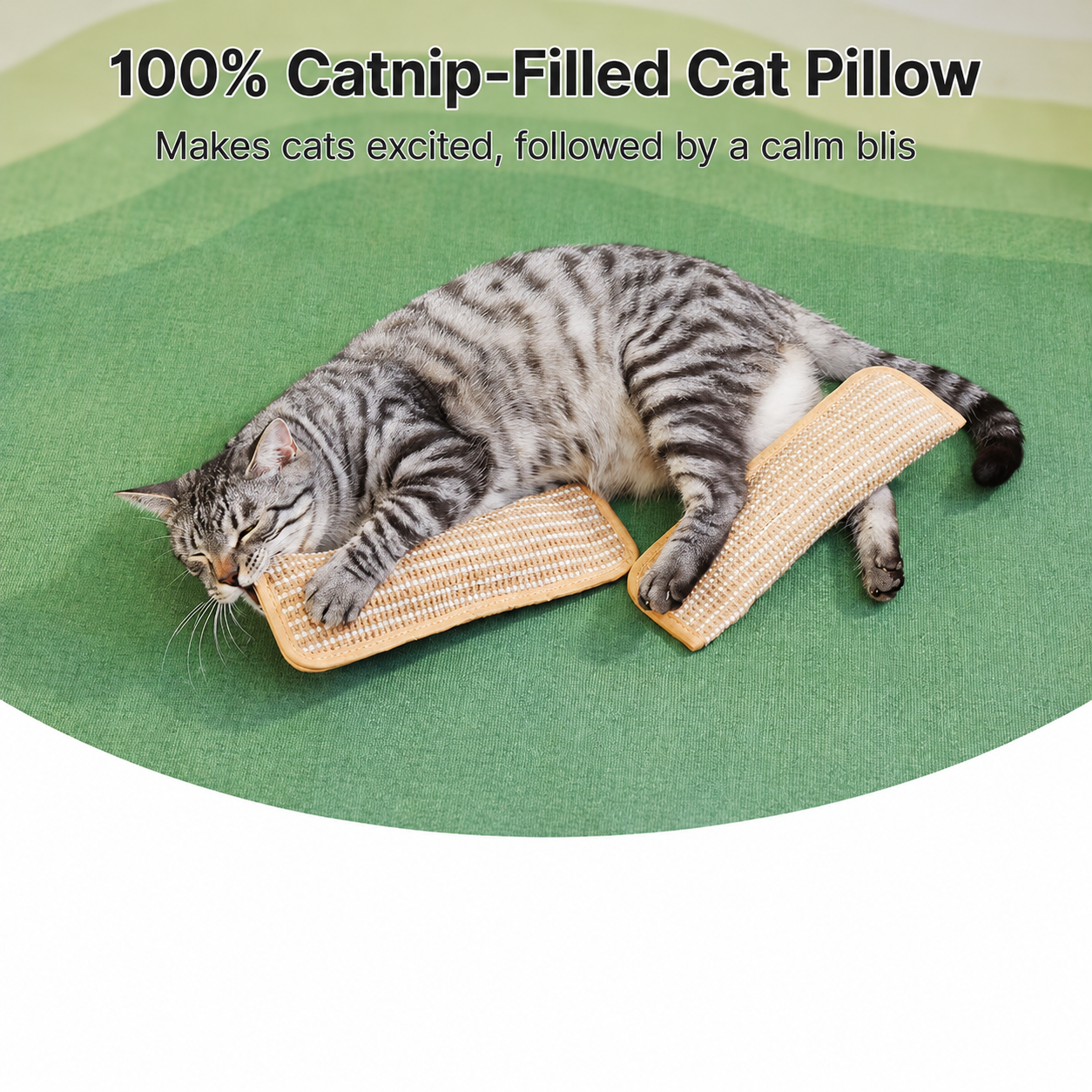 🔥Last Day 48% OFF-🐱Interactive Catnip Chew Toy with 30,000mg A+ Organic Catnip